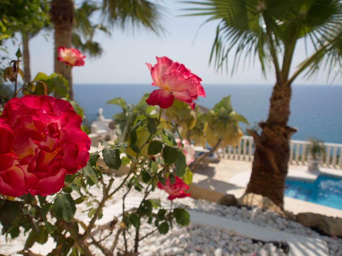 Frontline Villa, Five Star Deluxe El Campello Exterior photo